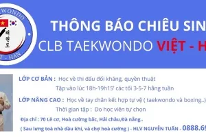 Học Võ Taekwondo Ở Hải Châu - CLB Taekwondo Việt Hàn